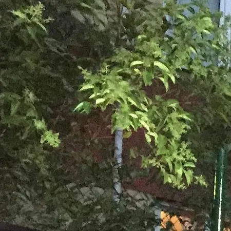 Molton Monapart Mecidiyekoy 4*