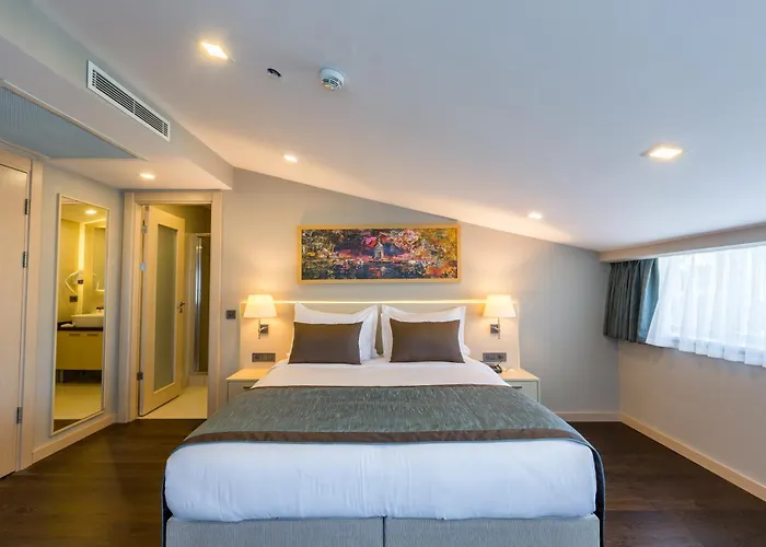 Molton Monapart Mecidiyekoy