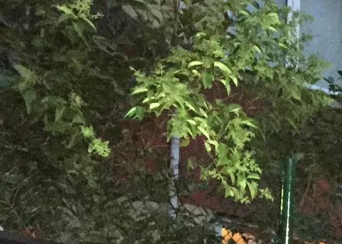 Molton Monapart Mecidiyekoy 4*