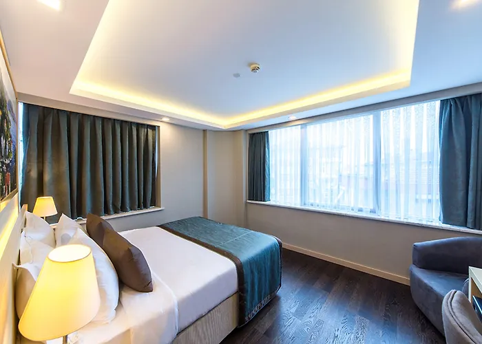 Molton Monapart Mecidiyekoy