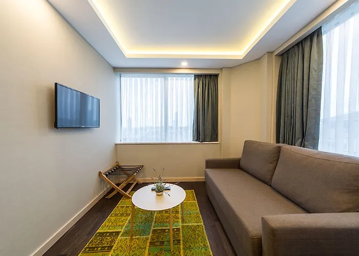 Molton Monapart Mecidiyekoy