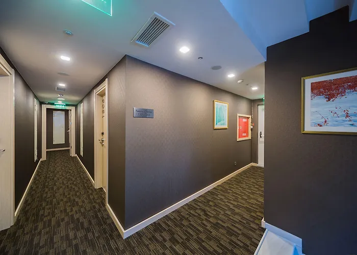 Molton Monapart Mecidiyekoy Stambuł