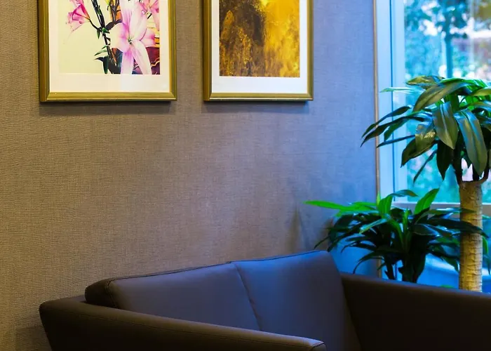 Molton Monapart Mecidiyekoy