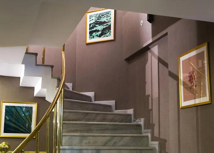 Molton Monapart Mecidiyekoy Istanbul